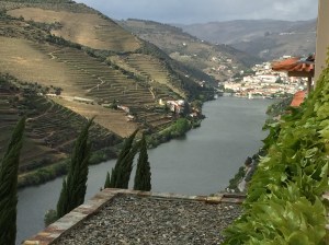 Near Quinta de Seixo winery