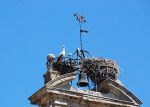 Salamanca - San Martin church rkm